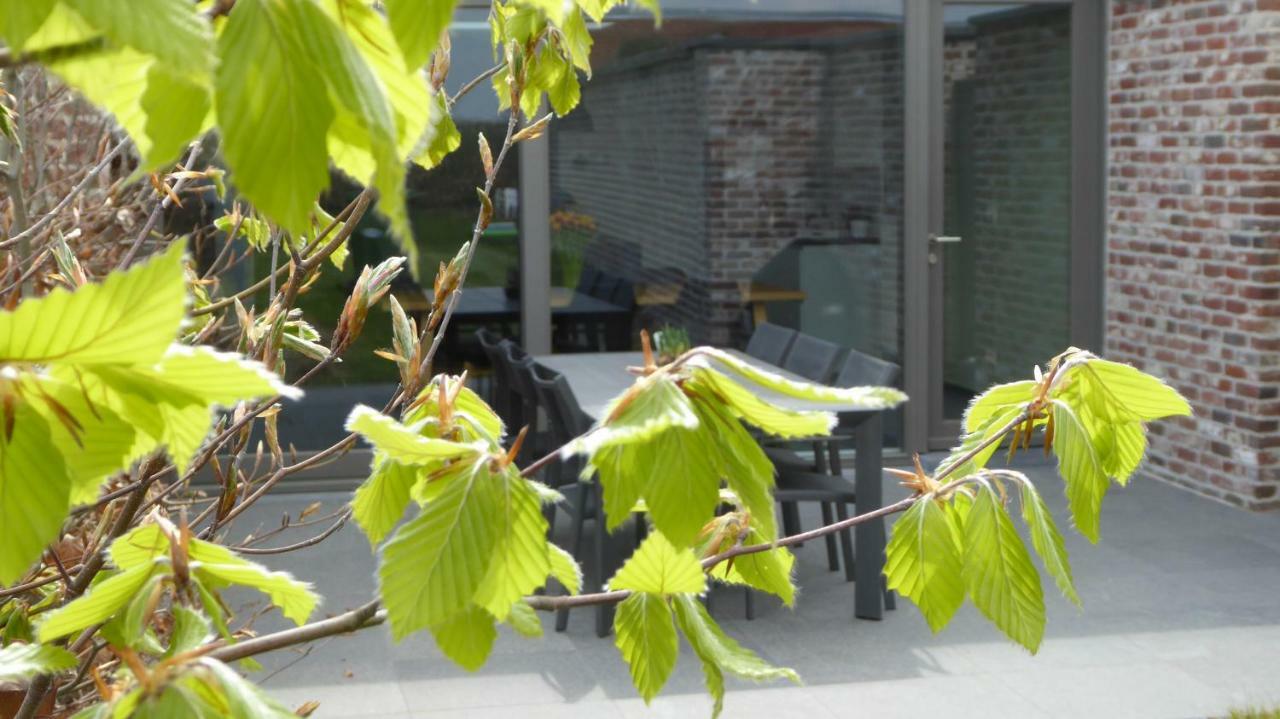 Camilles House Wijtschate Exterior foto